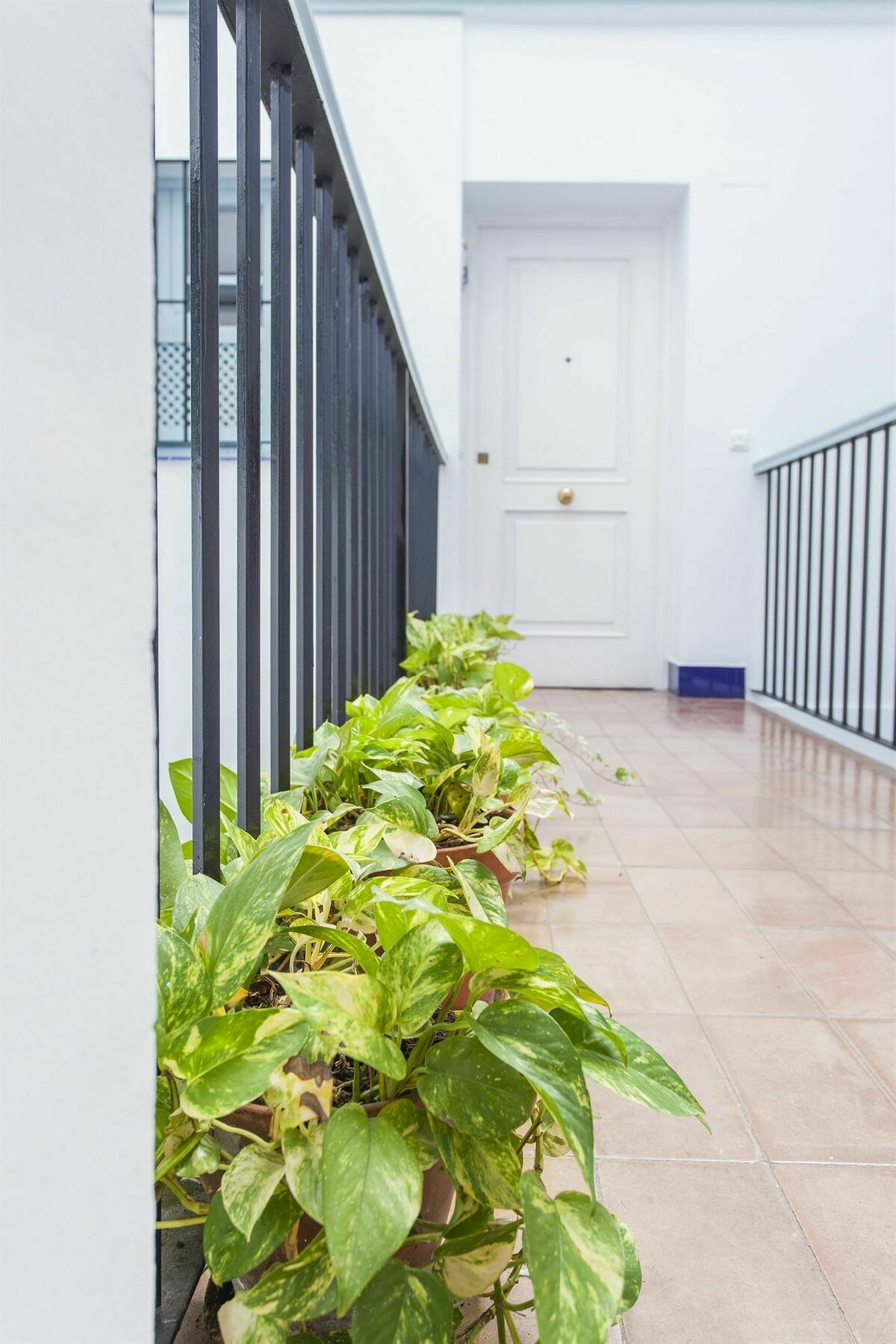 Santa Cruz Apartment Siviglia Esterno foto